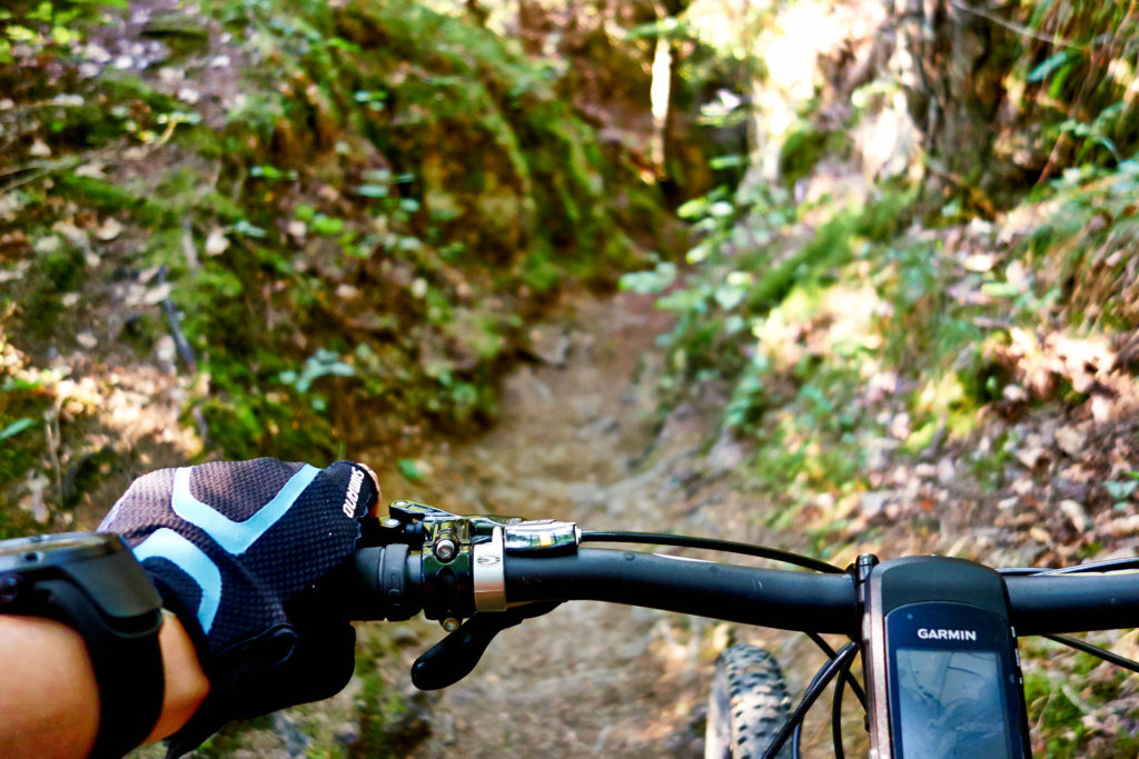 Mit dem Mountain Bike über einen der unzähligen Trails der Fränkischen Schweiz